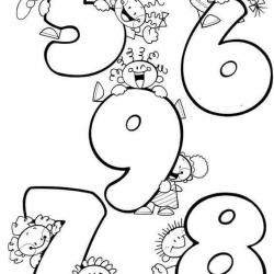 12669663_1257054300977332_1856560553660572058_n.jpg