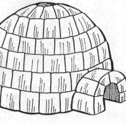 12642656_1249274805088615_1685188504841492856_n.jpg