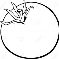 18869168-Black-and-White-Cartoon-Illustration-of-Tomato-Vegetable-Food--Stock-Photo.jpg