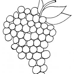 20604475_1804046179611472_1011868927303174931_n.jpg