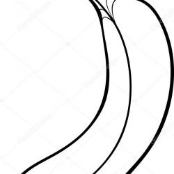 20637841_1804046236278133_2361183386130891048_n.jpg