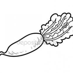 depositphotos_133956832-stock-illustration-coloring-book-vegetables-daikon.jpg