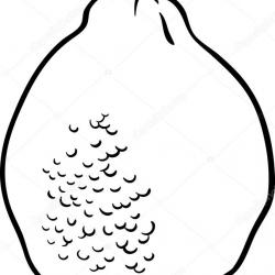 depositphotos_25951599-stock-illustration-lemon-illustration-for-coloring-book.jpg