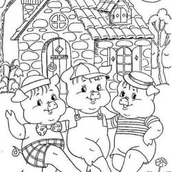 19598441_1762023370480420_3936027292202164830_n.jpg