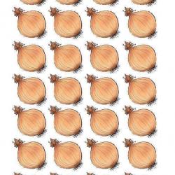 13226712_1334005176615577_1448615074574766554_n.jpg