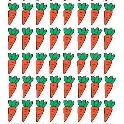 13260269_1334005333282228_7793413633661121805_n.jpg