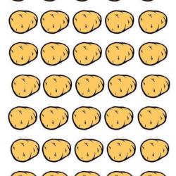 13263830_1334005053282256_5959184758826052813_n.jpg