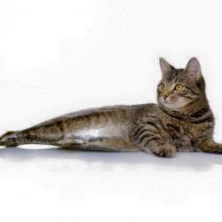 12294744_1662539217351310_5028397758098058358_n.jpg