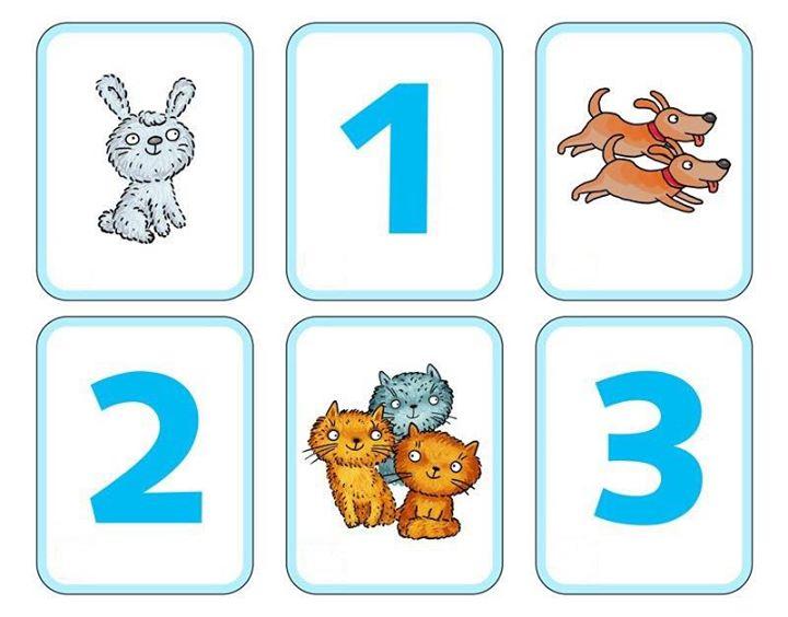 16730608_674626579373980_2837722102073970501_n.jpg