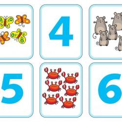 16730524_674626606040644_9088620651887435027_n.jpg