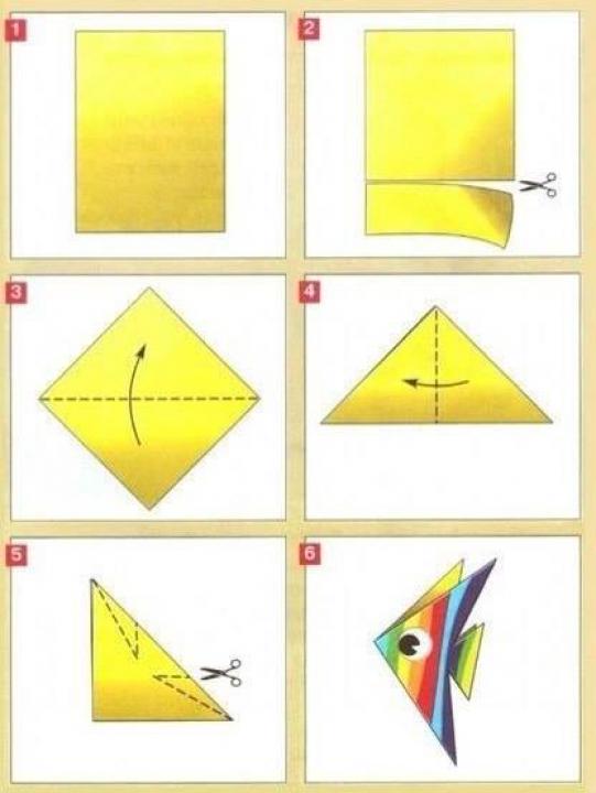 11951976_481207355394756_3505605233357415809_n.jpg