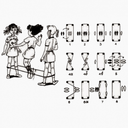 11703158_999327630085800_5697750362411581947_n.png