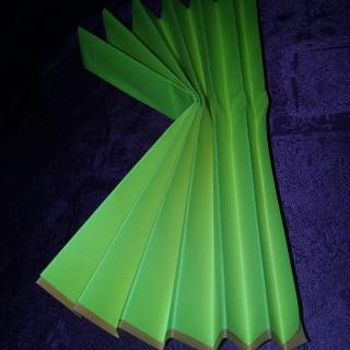 20190304_155358.jpg