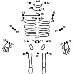 13245375_1334998476516247_8632247171182981154_n.jpg