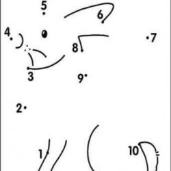 13245272_1338186949530733_6712356756474213371_n.jpg