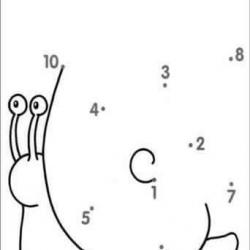 13256005_1338208969528531_7040946567076828716_n.jpg