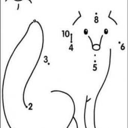 13256195_1338208672861894_3764649501154512798_n.jpg
