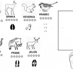 12249996_10204091241714769_2838653403694088501_n.jpg