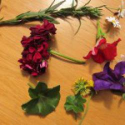 tisk-kvety-150x150.jpg