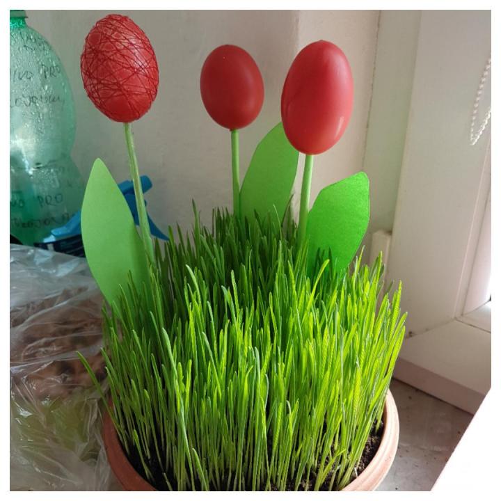 2017-03-25_10.19.35.jpg