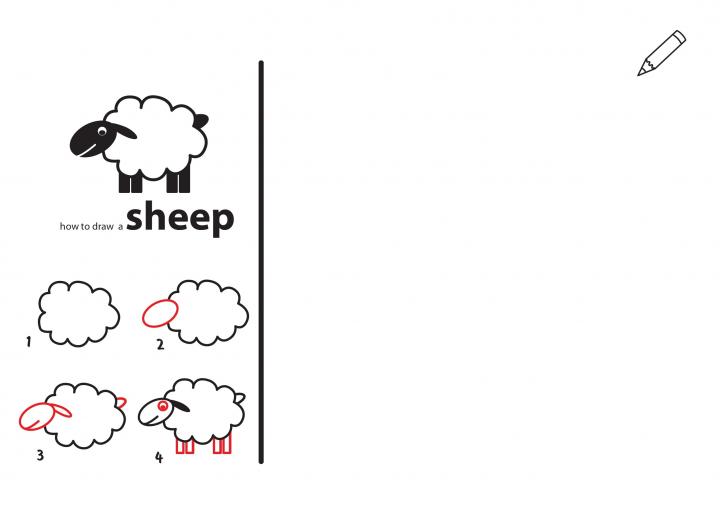 ovce kreslení.jpg