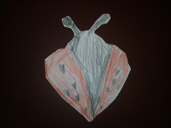 20190215_074256.jpg