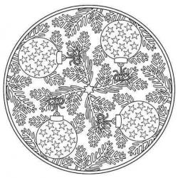 12294741_1212545108761585_6002376569651901083_n.jpg