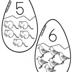 12654295_1256495794366516_4057622297039569542_n.jpg