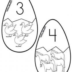 12669702_1256495611033201_4074209829903460078_n.jpg