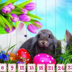 17458395_1649968511685907_2655499233502822265_n.jpg