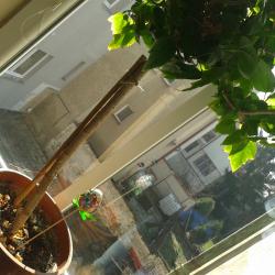 20160314_110650.jpg