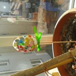 20160314_110932.jpg