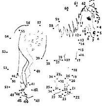 index.jpg