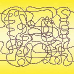 12733503_1953104078248779_3278380977055684115_n.jpg