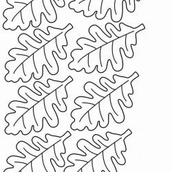 14494693_1454721607877266_5207375075009957426_n.jpg