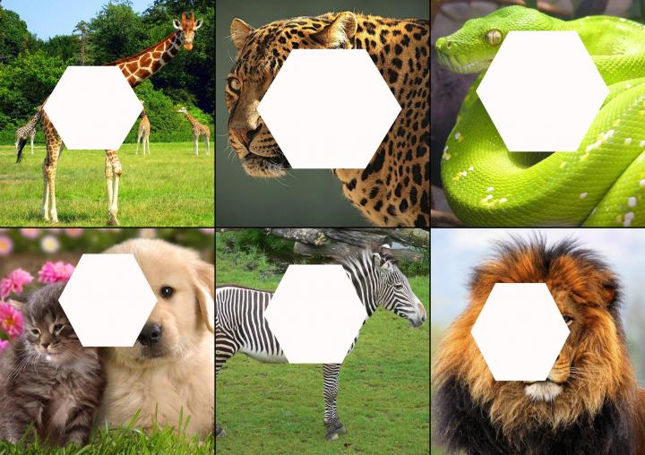 1496170_1120748367936986_5397043459742172330_o.jpg
