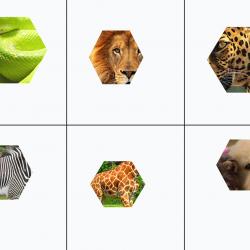 1292967_1120748381270318_6829742809150209218_o.jpg