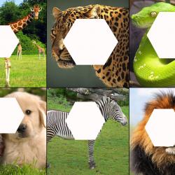 1496170_1120748367936986_5397043459742172330_o.jpg