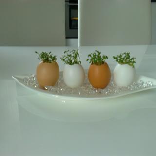 45BBD01A-F658-49D8-84A8-0165BB28DB68.jpeg