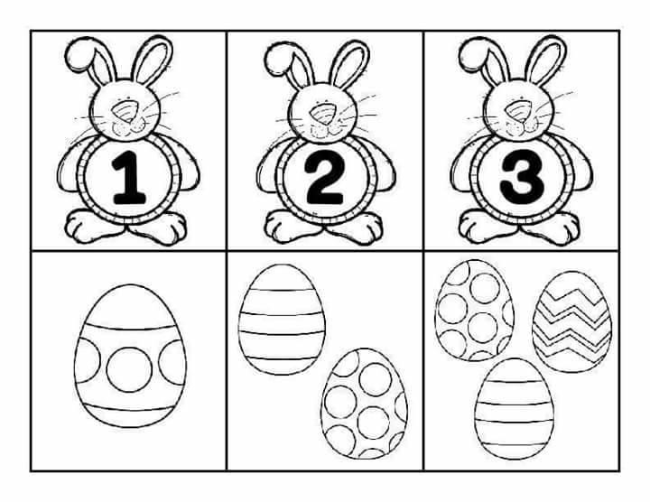 17309113_1633662853316473_832336505711445829_n.jpg