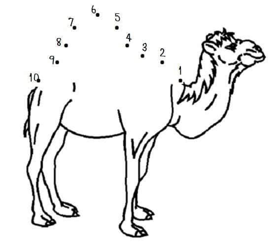 13445346_1357697737579654_5373302016616842862_n.jpg