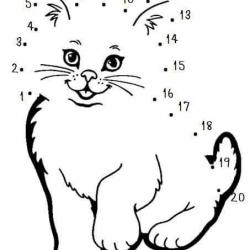 13428486_1357697704246324_3146966198856114807_n.jpg
