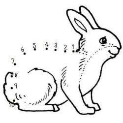 13516649_1357697690912992_4185460027229296307_n - kopie.jpg