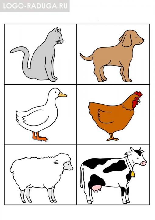 12771730_1959035837655603_5984644187394714546_o.jpg