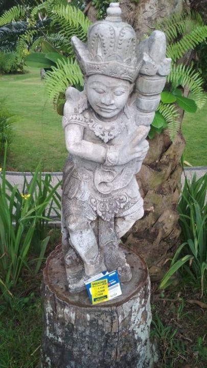 received_264776051092193.jpeg
