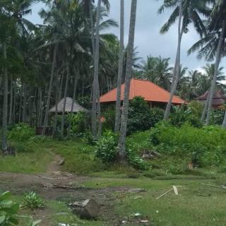 received_1189973091184048.jpeg