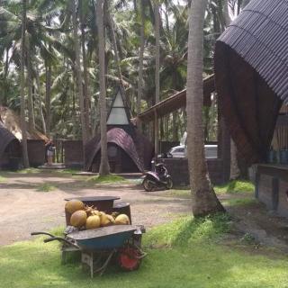 received_661813717610989.jpeg