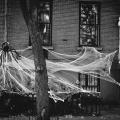 Do Brooklynu se blíží Halloween