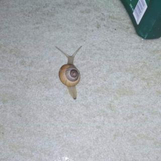 received_376345989884655.jpeg