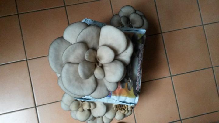 20170403_090442.jpg